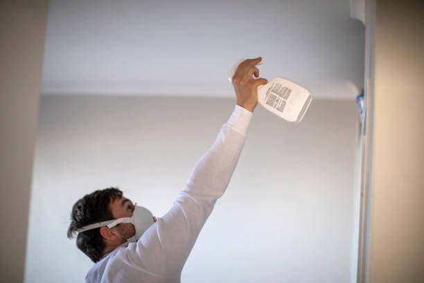 Best Residential Mold Remediation in East Hampton North, NY
